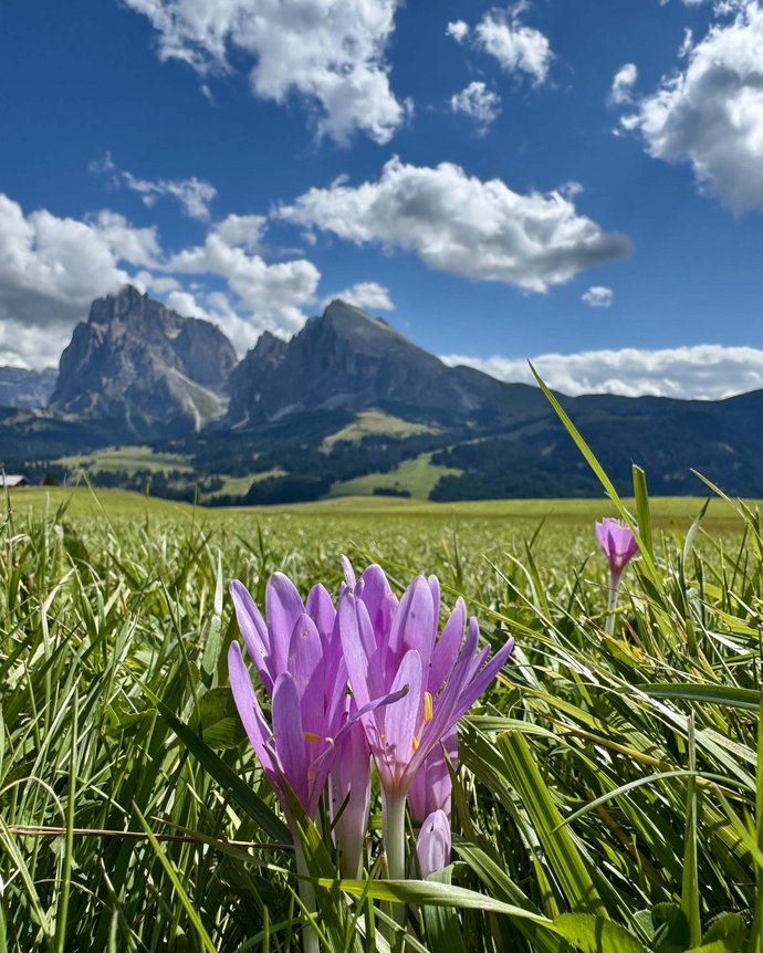 Il vostro hotel 5 stelle tra le Dolomiti Il vostro hotel 5 stelle tra le Dolomiti