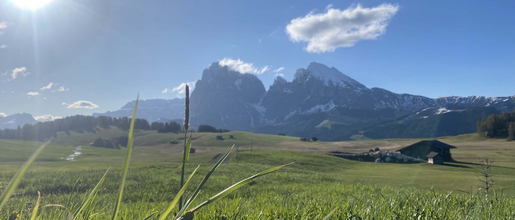 Alpe di Siusi: vacanze estive al Seiser Alm Urthaler Alpe di Siusi: vacanze estive al Seiser Alm Urthaler