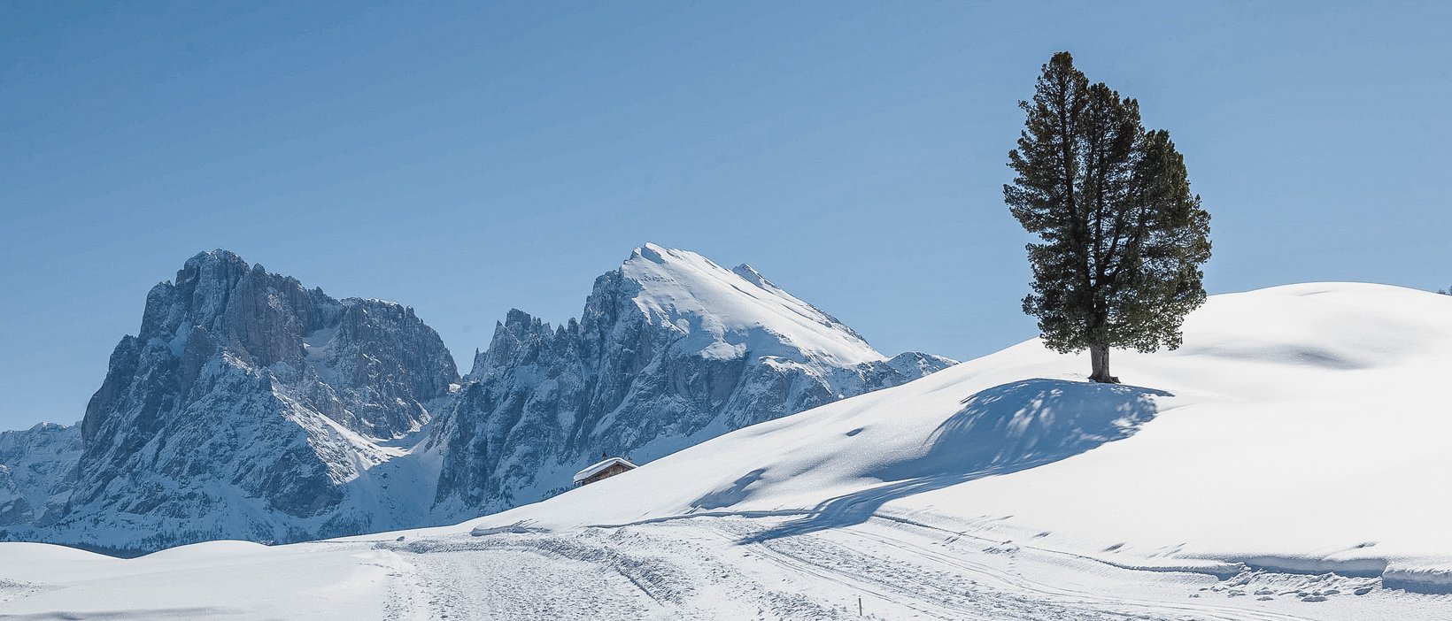Hotel 3 stelle sull’Alpe di Siusi: Plaza Easy Living Hotel 3 stelle sull’Alpe di Siusi: Plaza Easy Living