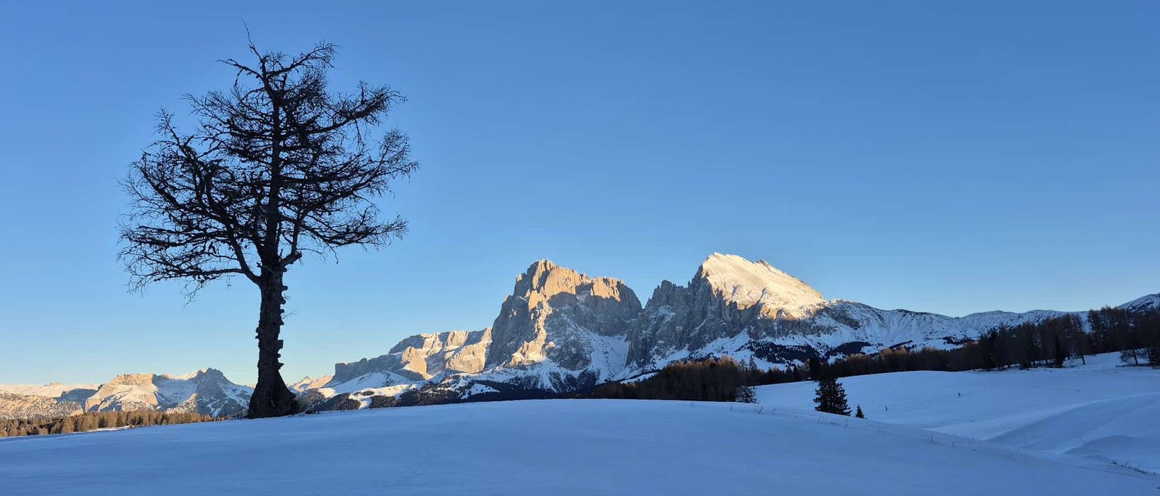 Hotel direttamente sull’Alpe di Siusi Hotel direttamente sull’Alpe di Siusi