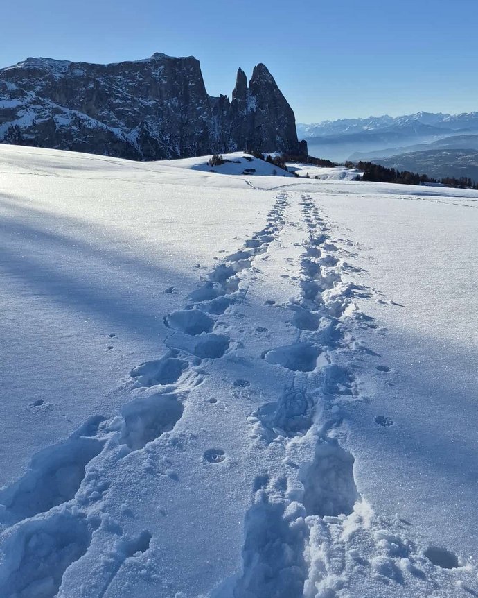 Hotel all’Alpe di Siusi: sulle piste c’è più gusto! Hotel all’Alpe di Siusi: sulle piste c’è più gusto!