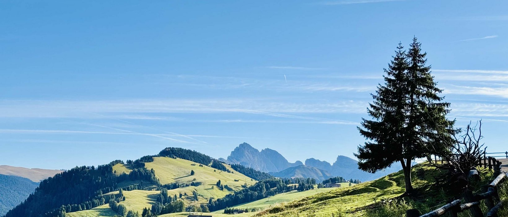 Alpe di Siusi: vacanze estive al Seiser Alm Urthaler Alpe di Siusi: vacanze estive al Seiser Alm Urthaler