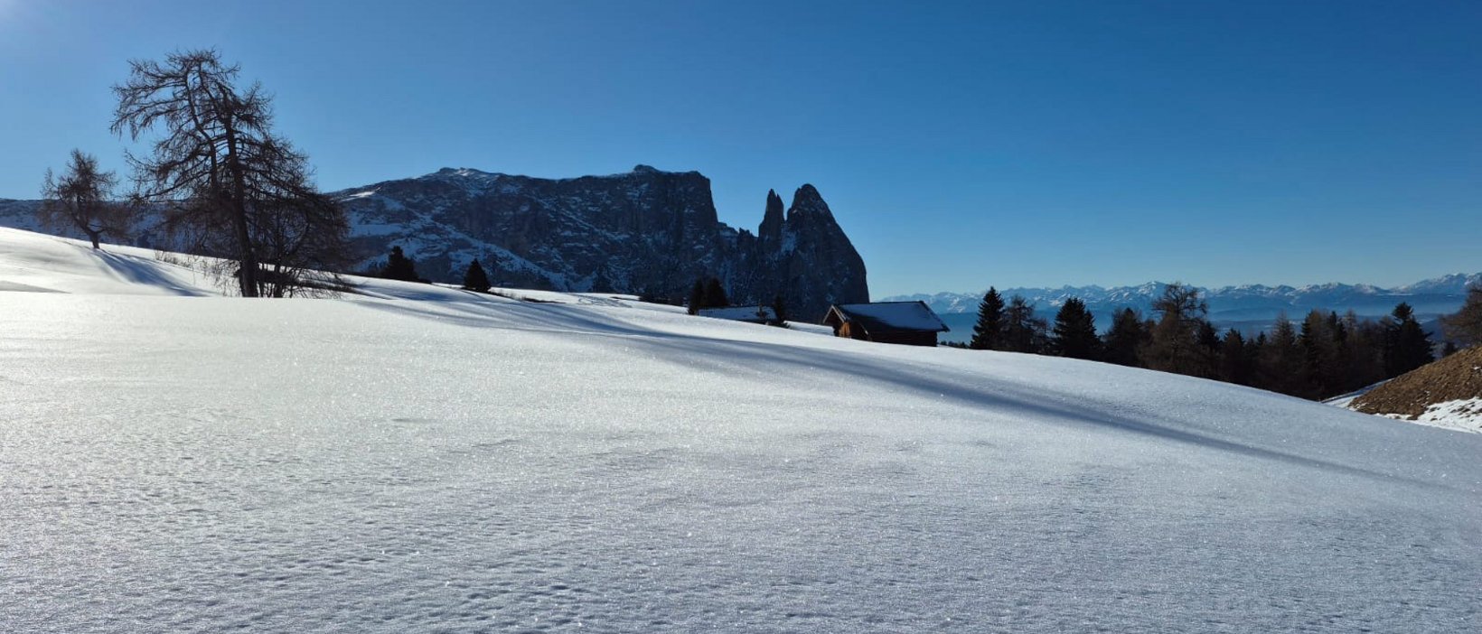 Hotel all’Alpe di Siusi: sulle piste c’è più gusto! Hotel all’Alpe di Siusi: sulle piste c’è più gusto!