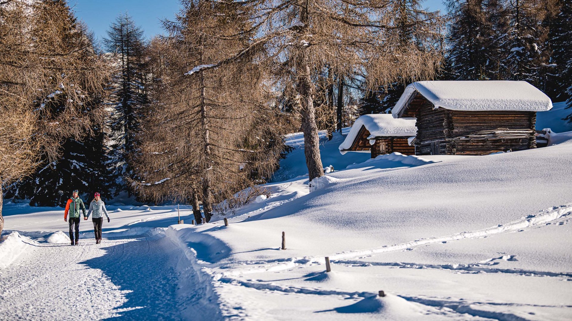 Il vostro hotel 5 stelle tra le Dolomiti Il vostro hotel 5 stelle tra le Dolomiti