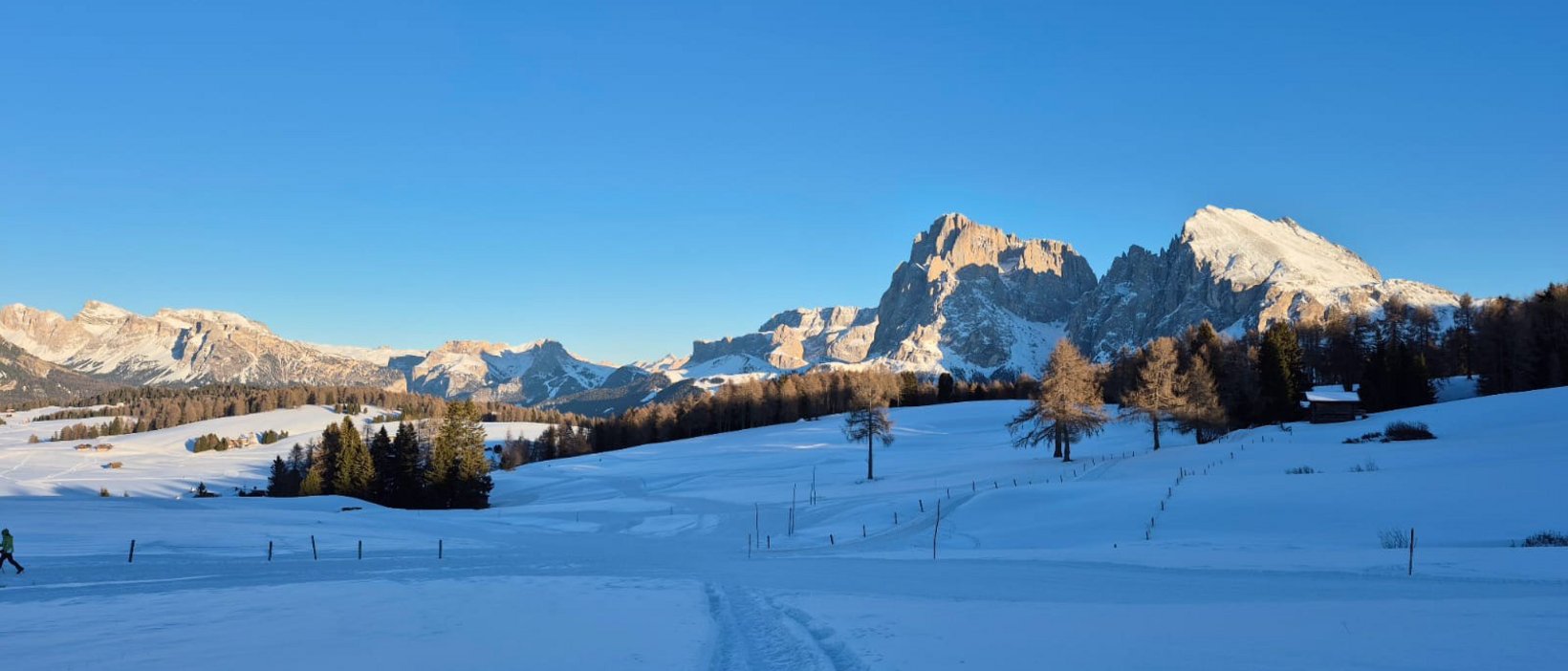 Hotel all’Alpe di Siusi: sulle piste c’è più gusto! Hotel all’Alpe di Siusi: sulle piste c’è più gusto!