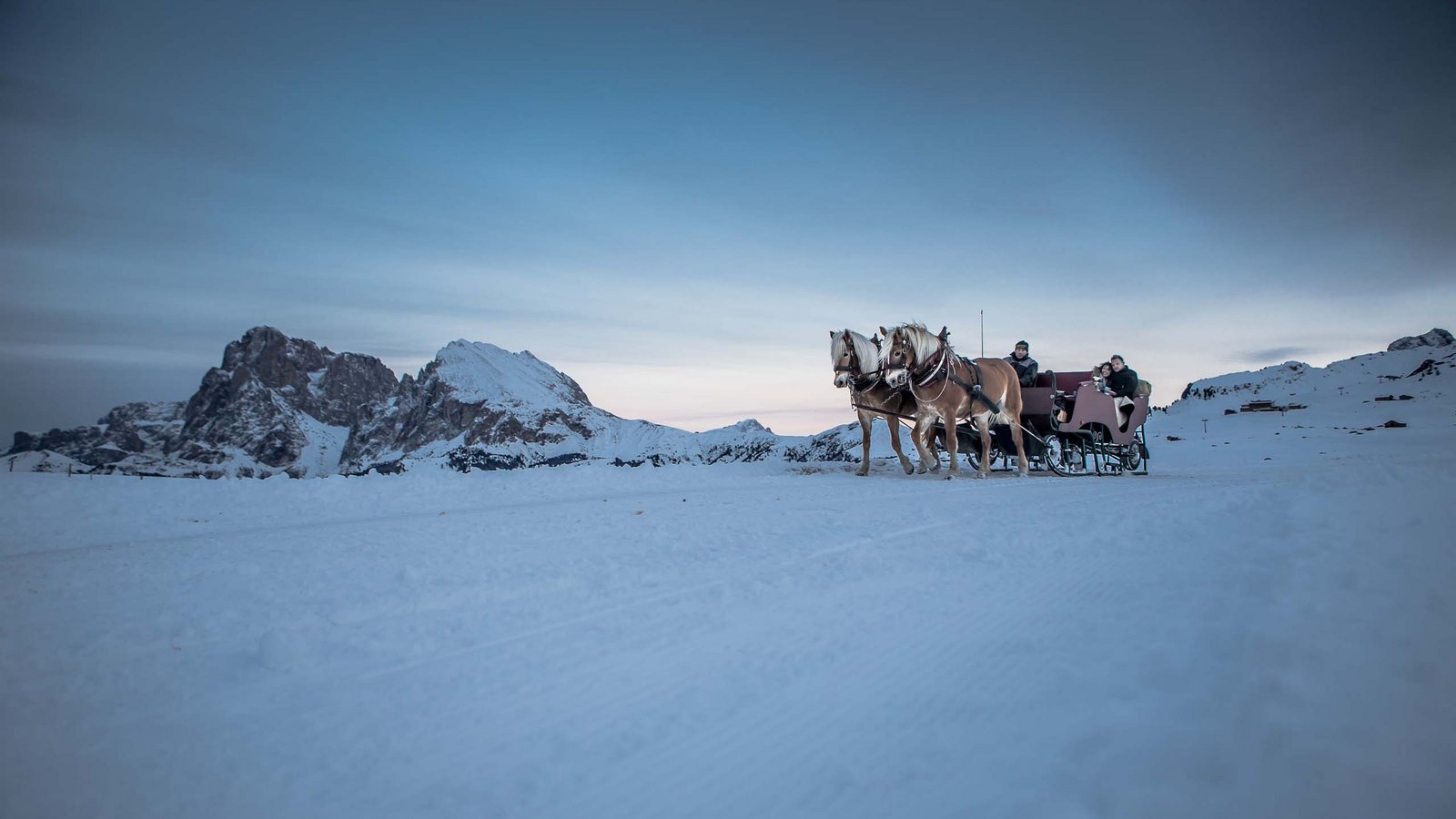 Giro in carrozza sull’Alpe di Siusi: come ai vecchi tempi! Giro in carrozza sull’Alpe di Siusi: come ai vecchi tempi!