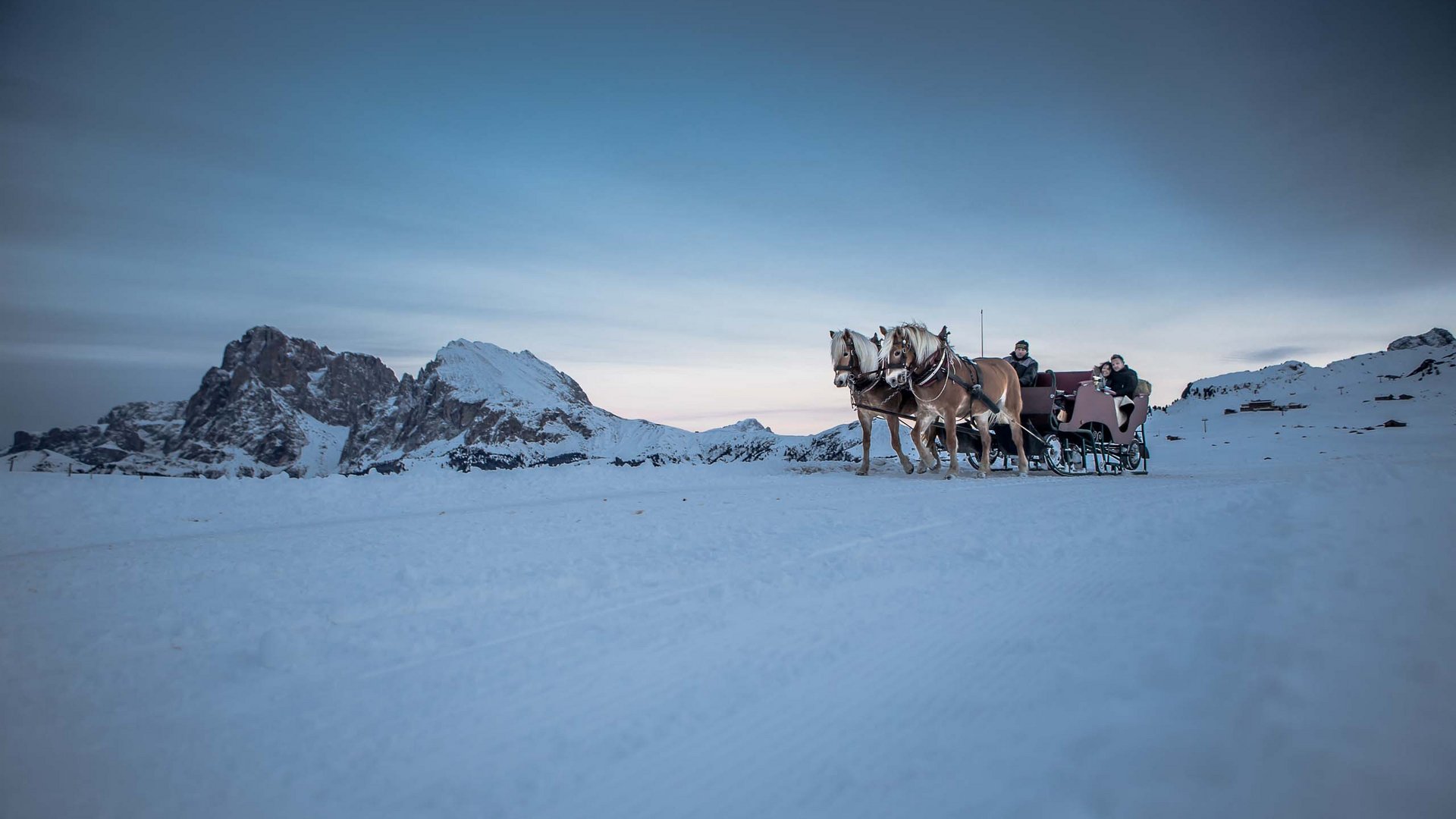 Giro in carrozza sull’Alpe di Siusi: come ai vecchi tempi!