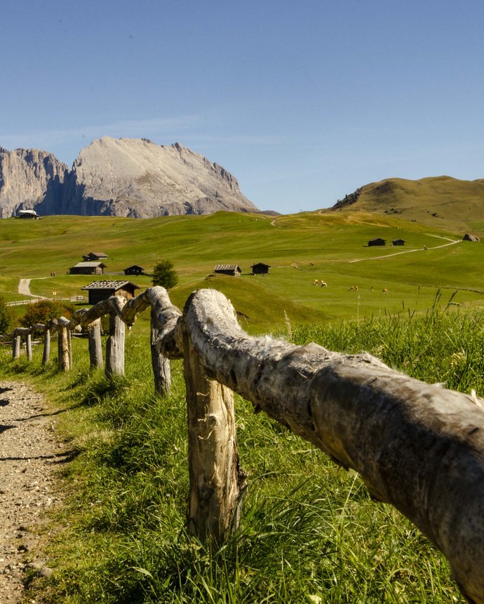 Plaza: vacanze in hotel sulle Dolomiti con il cane Plaza: vacanze in hotel sulle Dolomiti con il cane